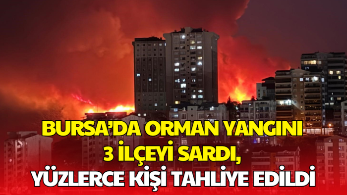 Bursa’daki Yangında 100 Hektar Kül Oldu, 1765 Kişi Güvenli Bölgelere Alındı