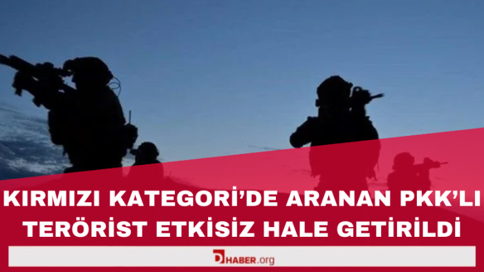 Kırmızı Kategoride Aranan PKK'lı Terörist Mardin'de Etkisiz Hale Getirildi