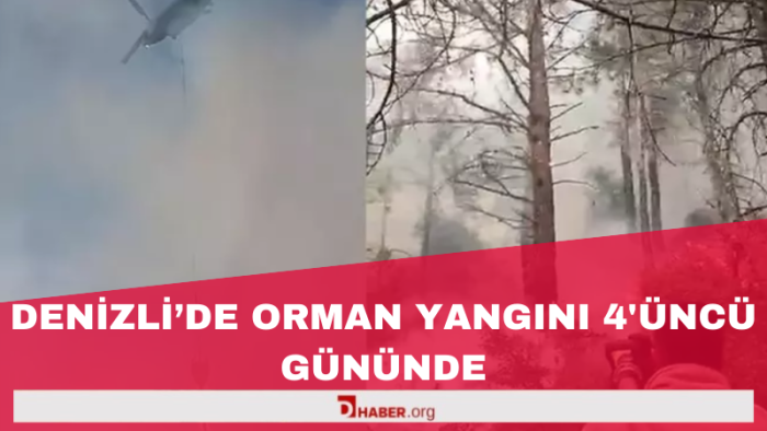 Denizli'de orman yangını 4'üncü gününde