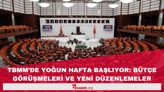 TBMM'de Yoğun Haftaya Başlıyor: Bütçe Görüşmeleri ve Yeni Düzenlemeler