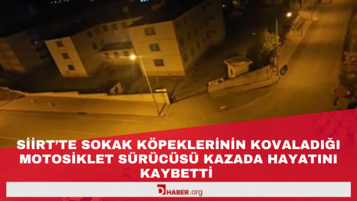 Siirt’te Sokak Köpeklerinin Kovaladığı Motosiklet Sürücüsü Kazada Hayatını Kaybetti